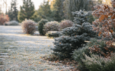 Grow a Garden That’s Always in Season