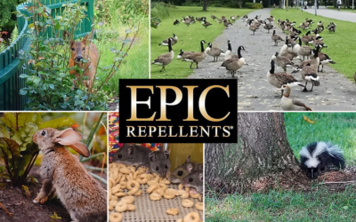 Epic Repellents