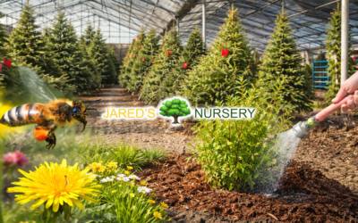 Jared’s Nursery, Gift & Garden Center