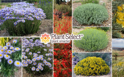 Plant Select