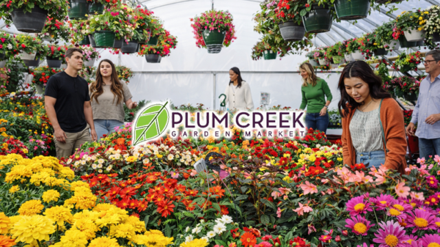 Colorful flowers in a garden center. Plum Creek