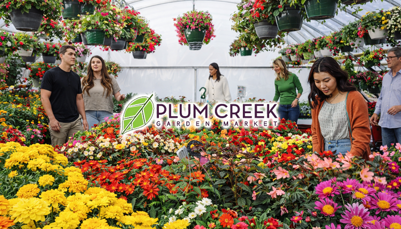 Colorful flowers in a garden center. Plum Creek