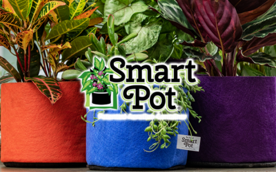 Smart Pot