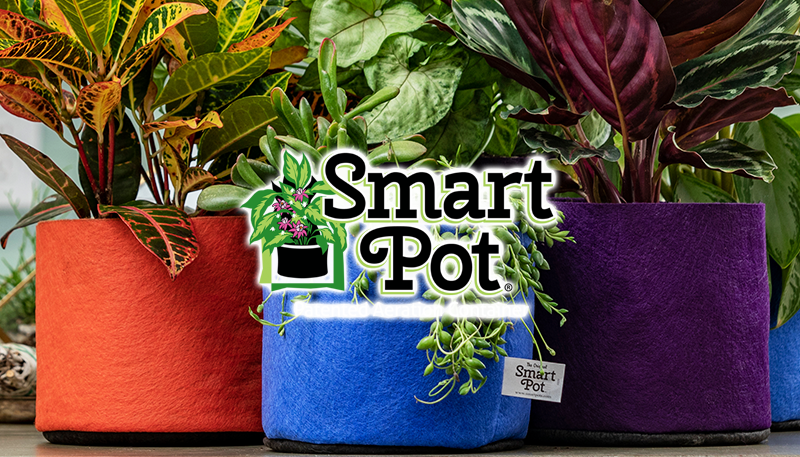 Colorful fabric pots with plants - Smart Pots