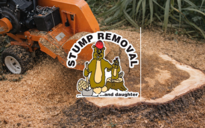 Stump Removal and Daughter