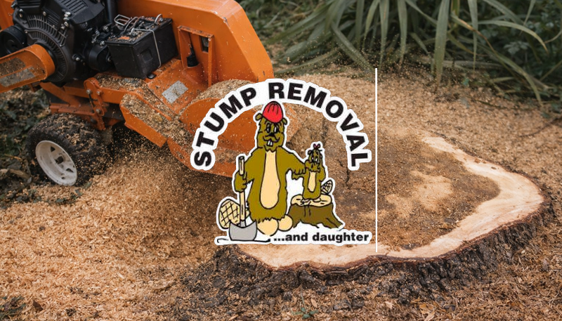 Stump Removal and Daughter