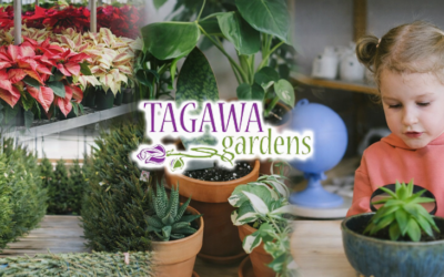 Tagawa Gardens
