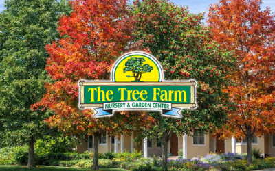 The Tree Farm Nursery & Garden Center