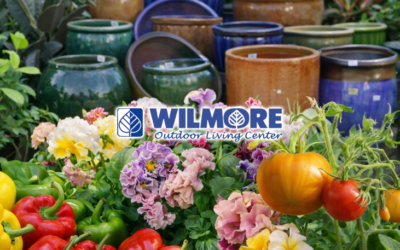 Wilmore Nursery & Garden Center