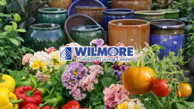 Wilmore Nursery and Garden Center