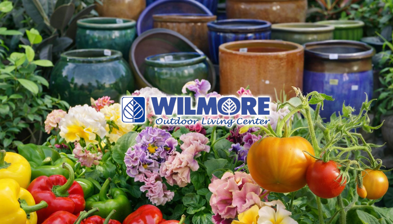 Wilmore Nursery and Garden Center