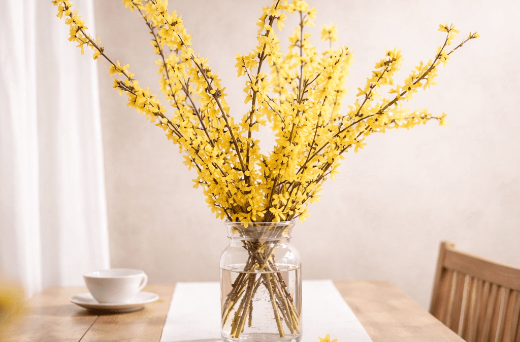 Forsythia in Vase