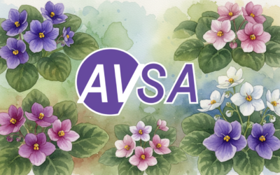 Rocky Mountain African Violet Council