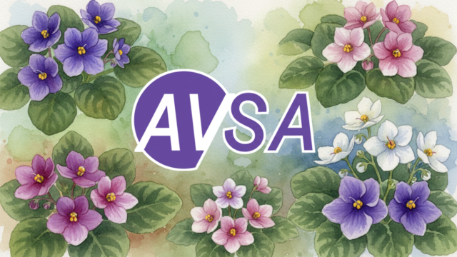 African Violet Society of America