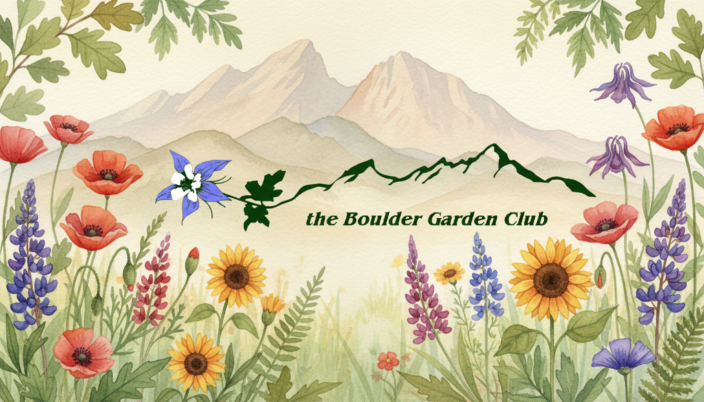 boulder garden club