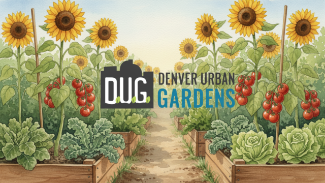 denver urban gardens