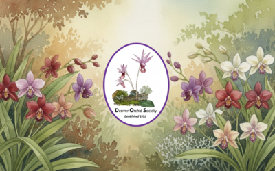 Denver Orchid Society