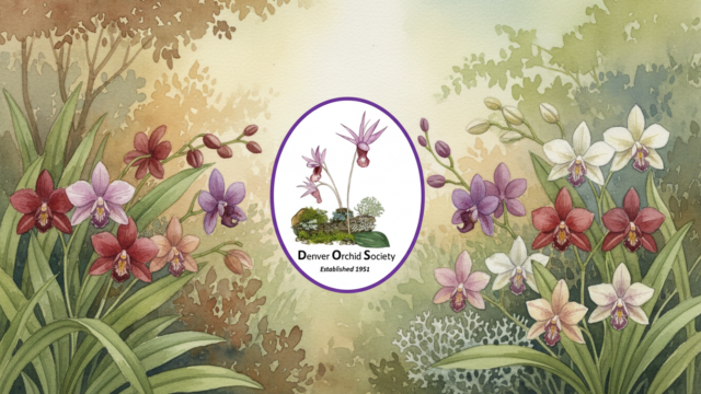 Denver Orchid Society