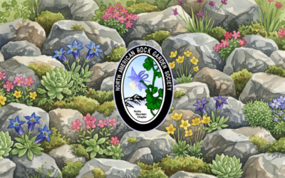 Rock Garden