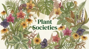 plant-societies-garden-wise-guy