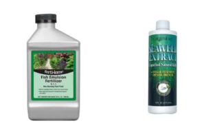 Plastic bottle of fish-emulsion fertilizer for garden plants with a green label on the front, gray container and black cap.
