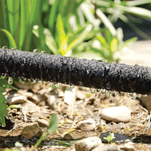 Close-up of a black irrigation hose with water droplets clinging to its surface in a sunlit garden bed.