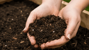 raised beds gardening tips soil