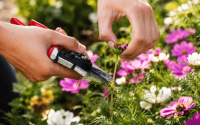 July – The Garden Wise Journal – Newsletter
