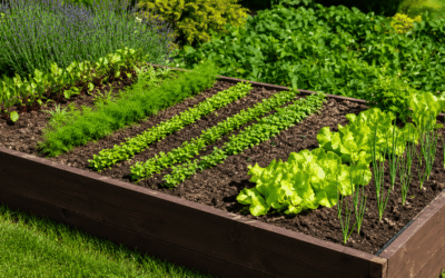 July Garden Myths
