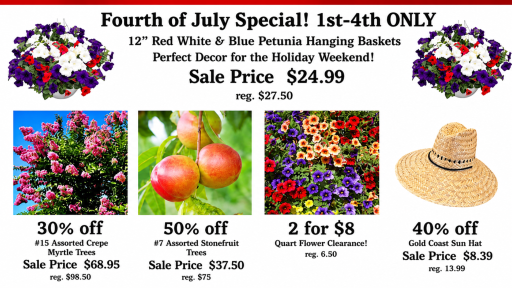 Garden center plants available for midsummer planting.