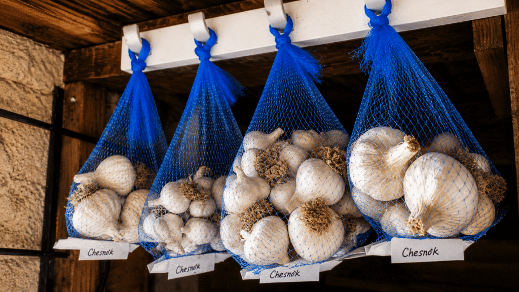 store garlic
